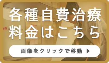 各種自費治療料金